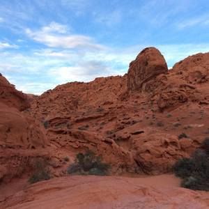 Meet your Posher, Annarita